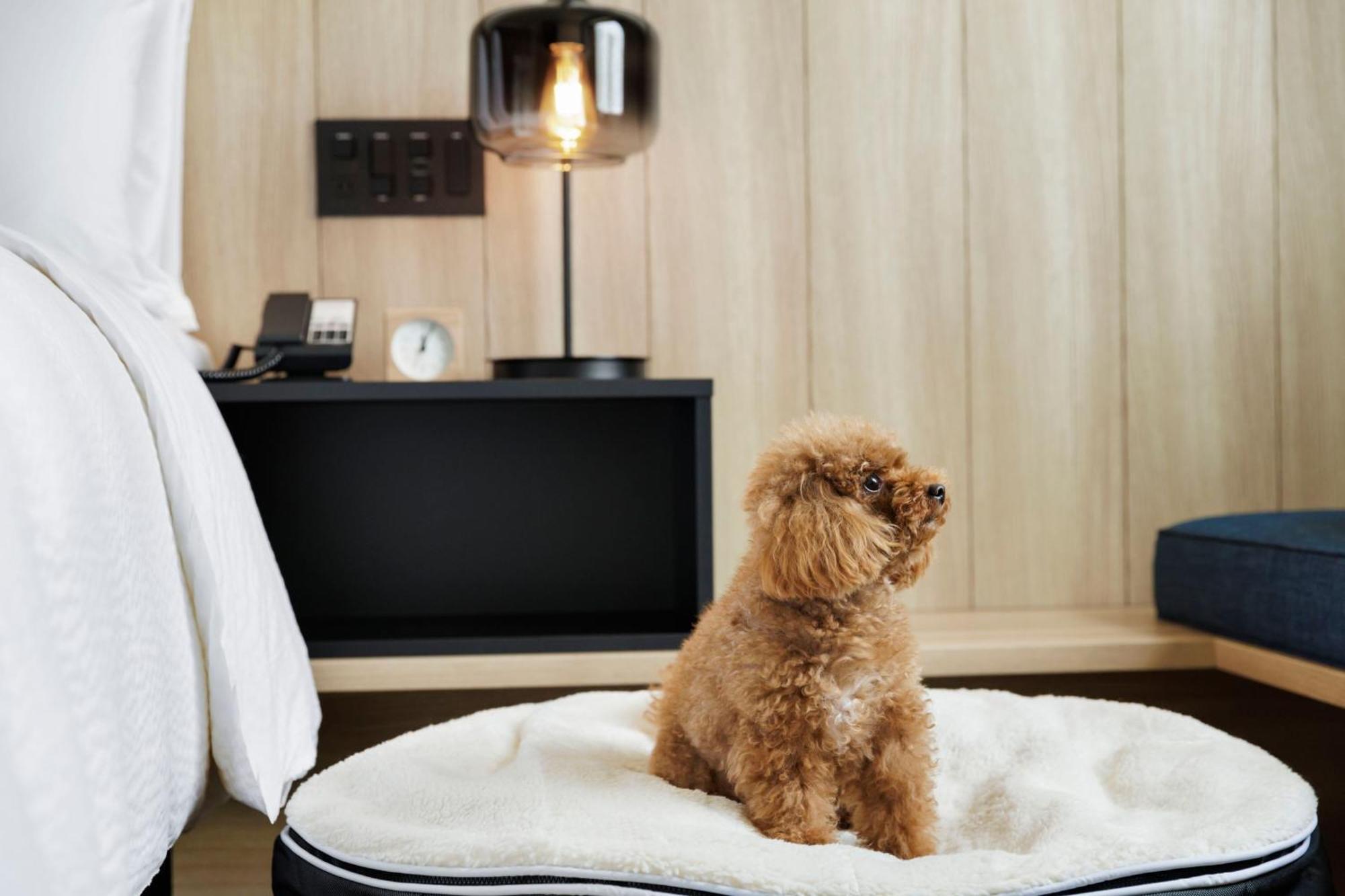 Fairfield By Marriott Gifu Seiryu Satoyama Park Hotell Minokamo Eksteriør bilde